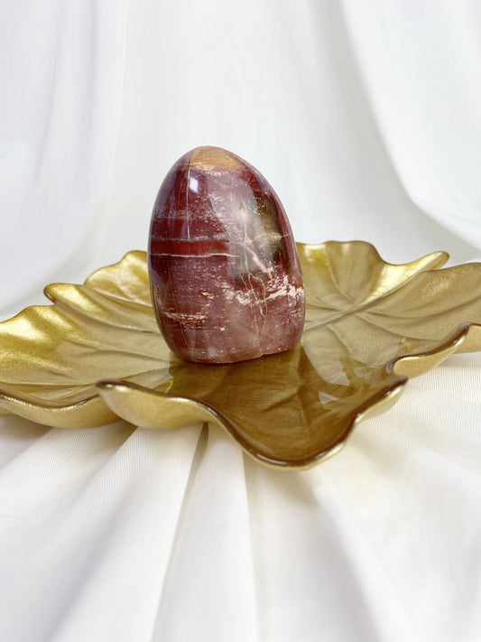 Fossiliertes Holz Freeform