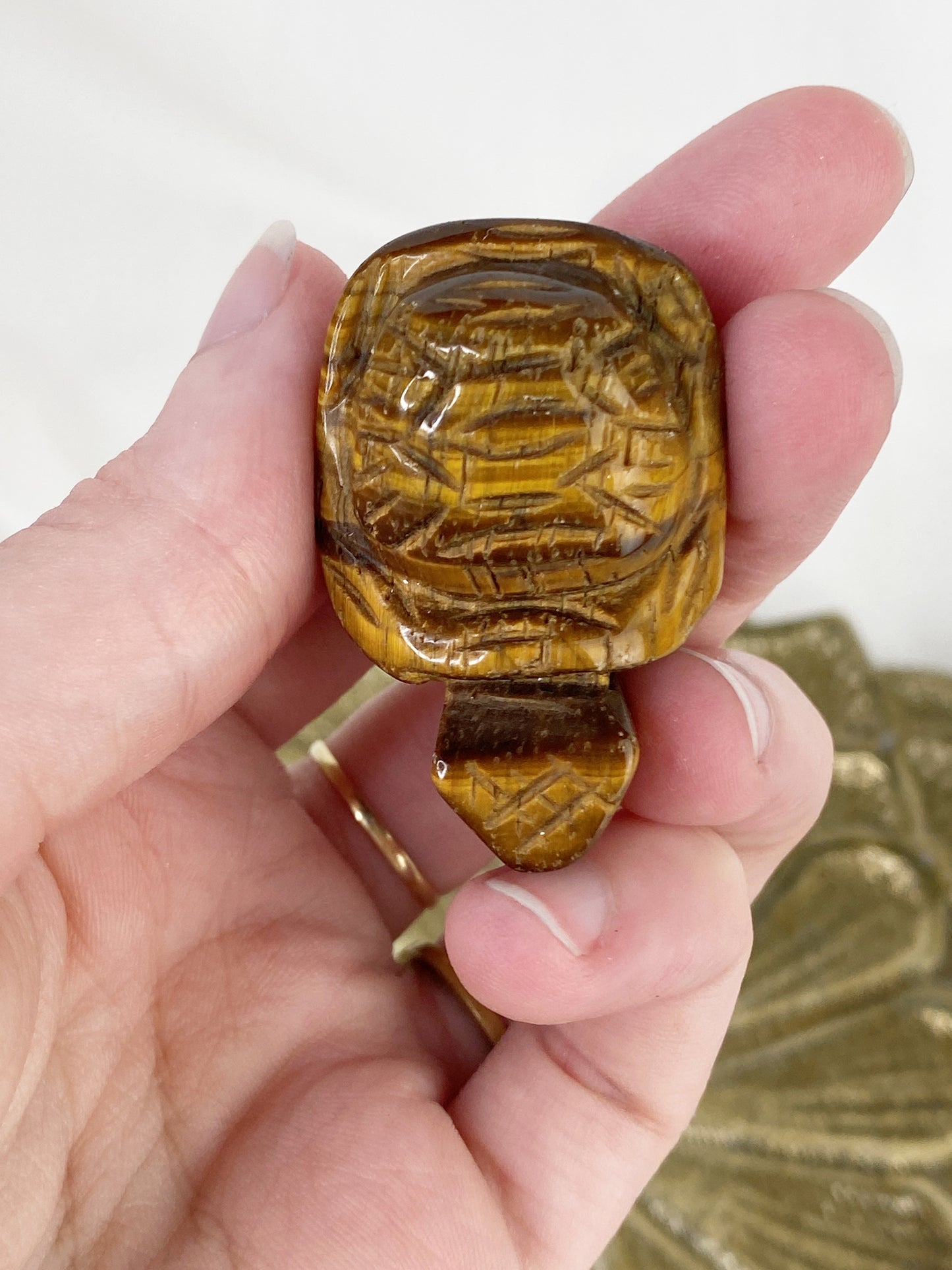 Tigerauge Schildkröte, 40mm / Farbe variiert / klein