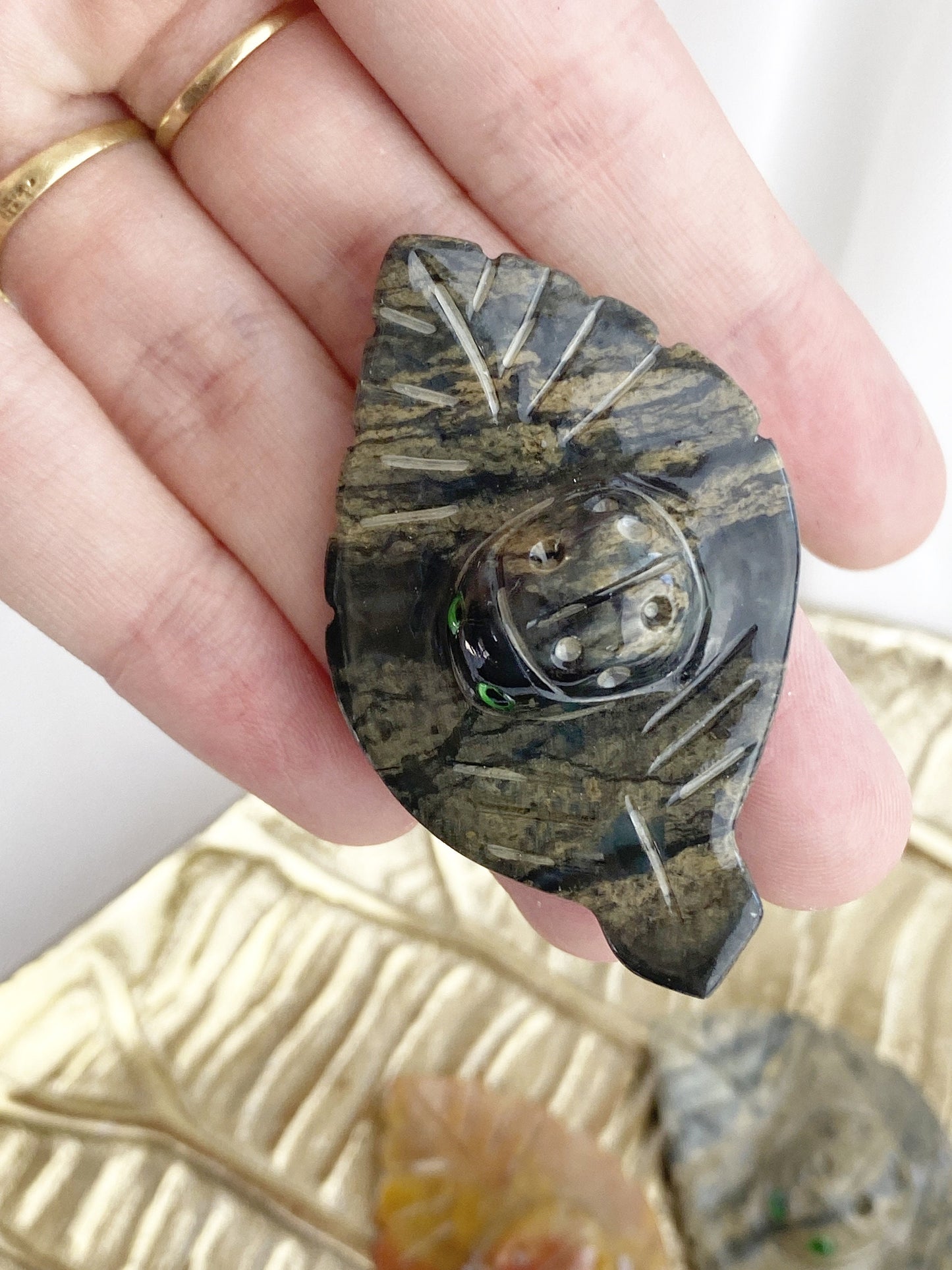 Steatit Käfer ca. 3.3 cm / Farbe variiert